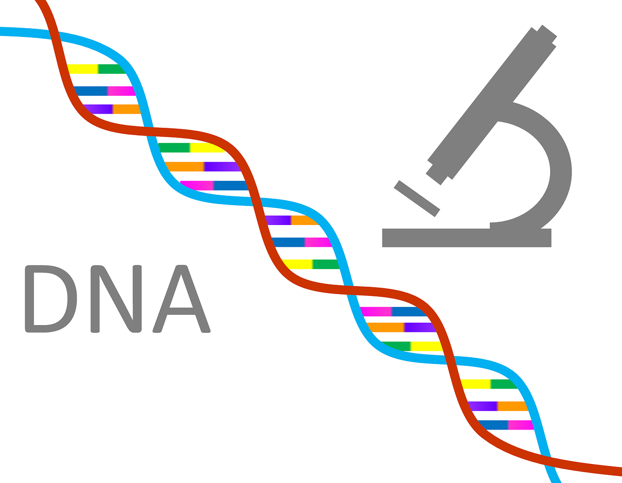 晚上澳门开什么人的基因影响生物结构，探索基因与生物学的奥秘联系，基因影响生物结构，探索澳门夜晚的基因与生物学奥秘联系之旅