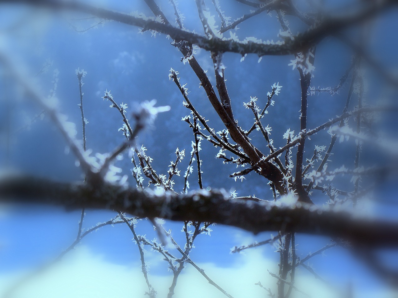 寒冬雪降，深度解析寒冷程度