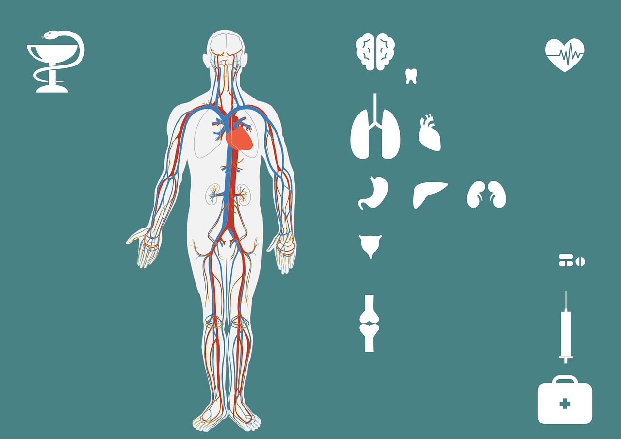 IGG抗体产生时间与检测准确性探究