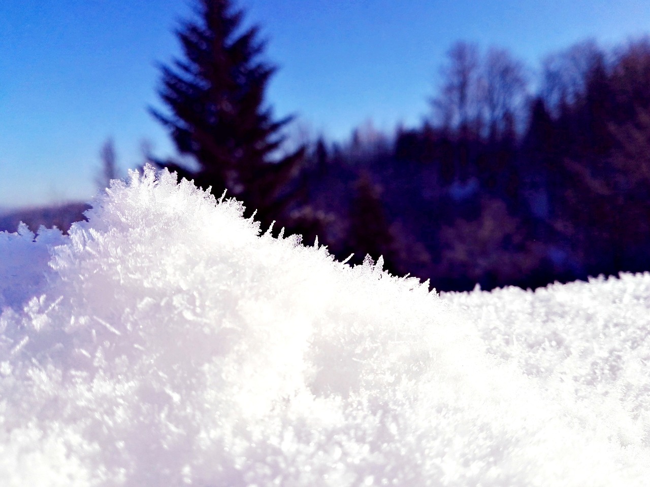 今年雪景如画，美不胜收