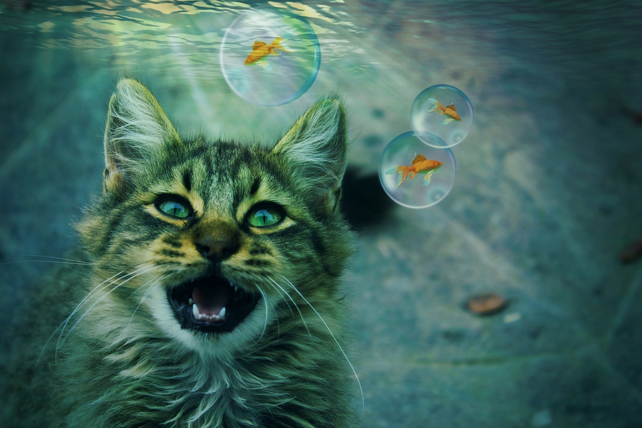2024新澳天天彩资料免费提供｜开心熊猫开心熊猎梦者软件版UZL18.57.13